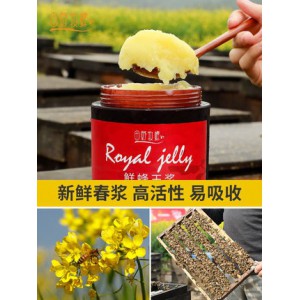 新采头茬春浆鲜王浆天然蜂皇浆旗舰店正品蜂乳